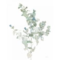 thumbnail image 2 of Nai, Danhui 20x24 White Modern Wood Framed Museum Art Print Titled - Eucalyptus II Cool, 2 of 4