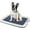 Navy, variant on IRIS USA Pee Pad Holder, Fits 17"x17" or Larger, Small, Puppy Dog Pad Hoder, Secured Latches, Non-Skid Rubber Feet, High Polish Finish for Easy Cleaning, Leak Protection, Dog Potty Tray, Dark Gray