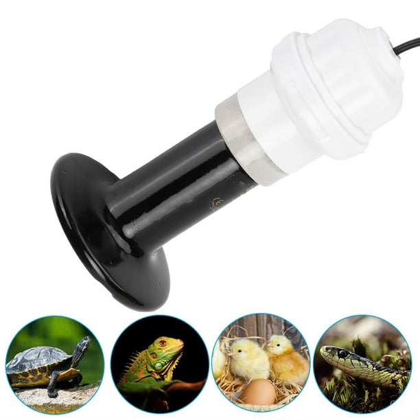 Bombillas Para Lámpara De Calor, E27 Bombilla De Calor Para Reptiles Bombilla De Calor De Cerámica Bombilla De Calor Nocturna Para Reptiles Bombilla Emisora de