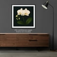 thumbnail image 5 of Moonow7 White Orchid Wall Art Prints, Large Square Floral Poster for Living Room Wall Decor, Minimalist Botanical Artwork for Bedroom Office or Hallway Display, Unframed Size 50x50 cm / 20x20”, 5 of 14