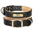 thumbnail image 2 of Didog Personalized Genuine Leather Padded Dog Collars Engraved Nameplate with D ring, 2 of 9