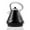 Black, variant on OVENTE 1.7 L Electric Kettle Hot Water Boiler, Automatic Shutoff, Coffee/Tea Maker, Black KS755B