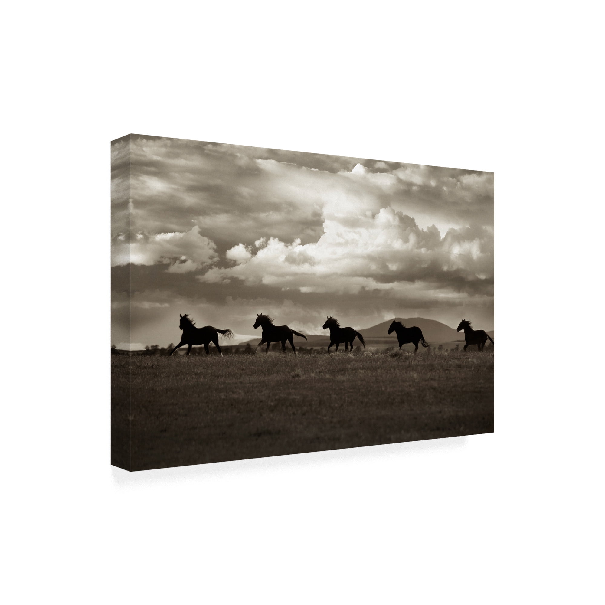 Trademark Fine Art 'Racing the Clouds' Canvas Art by Lisa Dearin