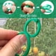 thumbnail image 3 of 200 Uds. Clips de flores de vid de tomate y verduras, Clip giratorio para plantas, Clips de soporte para plantas de jardín, Clips para plantas y Clips de jardín (pequeños), 3 of 5