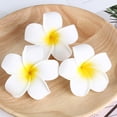 thumbnail image 3 of 24 Uds. Pinzas para el cabello hawaianas, pinzas para el cabello estilo playa, pinzas para el cabello con flores de Plumeria, accesorios para el cabello hawaianos, 3 of 4