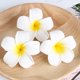 thumbnail image 3 of 24 Uds. Pinzas para el cabello hawaianas, pinzas para el cabello estilo playa, pinzas para el cabello con flores de Plumeria, accesorios para el cabello hawaianos, 3 of 4