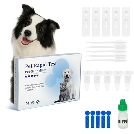 Rapid 5-Piece Healthy Test Kit for Dogs : Quick 5-Min Home CHW Detection For Dogs. Accurate, Non-Invasive, All Breeds/Ages