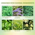 thumbnail image 2 of Body Soap for Aging Skin, Cleansing & Deodorizing Natural Soap Bar with Peppermint and Tea Tree Extract to Help with Nonenal Body Odor, and maintain moisture, 2 of 7