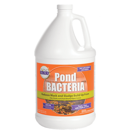 Pondworx Pond Bacteria - Formulated for Large Ponds, Water Features and Safe for Koi - 1 (Best Koi Pond Water Test Kit)