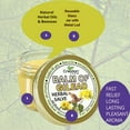 thumbnail image 3 of Balm Of Gilead Herbal Salve - Balm De Gilead Savilla Herbal From Creation Farm, 3 of 5