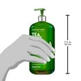 thumbnail image 5 of Majestic Pure Tea Tree Shampoo for Men and Women- Hydrating Formula Fights Dandruff, Lice and Itchy, Irritating or Dry Scalp - for All Hair Types - Sulfate Free - 16 fl oz, 5 of 7
