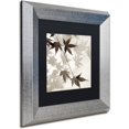 thumbnail image 2 of Trademark Fine Art "Florison 63" Canvas Art by Alan Blaustein, Black Matte, Silver Frame, 2 of 4