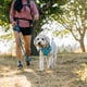 thumbnail image 5 of Arnés para Perro Ruffwear Swamp Cooler Ligero Gris Grafito, 5 of 7