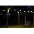 thumbnail image 5 of Enbrighten Cafe LED String Lights (48 ft.), 31664, 5 of 5