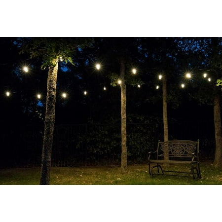 Enbrighten - Café LED Lights (48 feet/24 bulbs) - Black