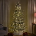thumbnail image 5 of Northlight Real Touch™ Elite Pre-Lit Flocked Kodiak Pine IPT Artificial Christmas Tree - 6' Dual, 5 of 9