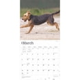 thumbnail image 3 of Airedale Terriers | 2025 12x24" (Hanging) Square Wall Calendar | BrownTrout, 3 of 9