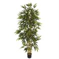 thumbnail image 1 of Arbre de Bambou de 6 Pi, 1 of 1