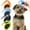Orange, variant on 2 in 1 Pet De-Matting Comb & Grooming Tool – Stainless Steel Blade Rake for Removing Knots & Tangled Fur,Safe Shedding Brush for Dogs & Cats,Blue,Blue