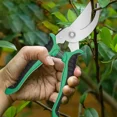 thumbnail image 5 of Garden Professional Scissors Stainless Steel Sharp Labor-saving Beak-shaped Pruning Shears Tree Non-slip Trimmer Garden Tools, 5 of 6