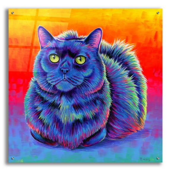 Epic Art 'Fiery Rainbow Black Cat' by Rebecca Wang Art, Acrylic Glass Wall Art, 36"x36"