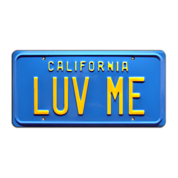 National Lampoon's Vacation | Christie Brinkley’s Ferrari 308GTSi | LUV ME | Metal Stamped Replica Prop License Plate
