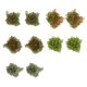 thumbnail image 1 of 10 piezas de mechones de hierba, modelo de hierba, mechones de hierba artificiales, para tren Color mezclado, 1 of 9