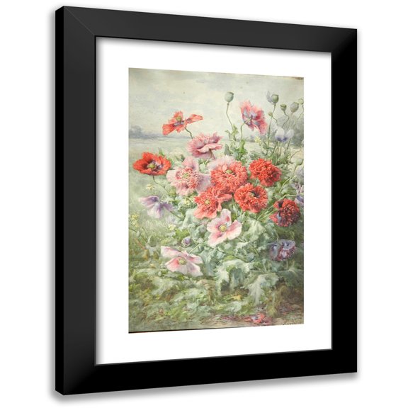 François Rivoire 11x14 Black Modern Framed Museum Art Print Titled - Pavots (Before 1902)