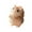 Adorable Stress ReliefToys Under $5 a5, variant on Fufafayo Squirrel SqueezeToyStress Relief Gift forKids, Cute Simulation Animal PinchToy, Desk Decor Ornament for Office Home, Fidget Sensory Plaything forChildren
