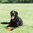 thumbnail image 3 of SHILIU-Large Tennis Ball 3 in., 1 Pack, 3 of 4
