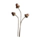 thumbnail image 5 of Flores secas para jarrón, arreglo floral de bricolaje, accesorio de fotografía, centro de mesa de plantas secas para granja, decoración de dormitorio Estilo F, 5 of 8