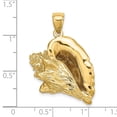 thumbnail image 2 of Auriga Fine Jewelry 14K Yellow Gold 3-D Conch Shell Charm for Women (L - 38 mm, W - 29.1 mm), 2 of 6