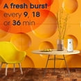 thumbnail image 3 of Glade Automatic Spray Refills, Air Freshener, Infused with Essential Oils, Coastal Sunshine Citrus, 6.2 oz, 3 of 5