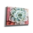 thumbnail image 2 of Epic Graffiti 'Succulent Garden' by Irena Orlov, Canvas Wall Art, 26"x18", 2 of 3