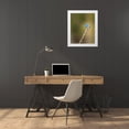 thumbnail image 3 of Galloimages Online 20x24 White Modern Wood Framed Museum Art Print Titled - Mountain Blue Bird, 3 of 4