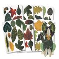 thumbnail image 2 of ROYLCO INC. R-15334 Feuilles de Papier Naturel pour l'Artisanat, 2 of 2