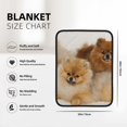 Cute Pomeranian Printed Double Sided Blanket Warm Flannel Fleece Plush