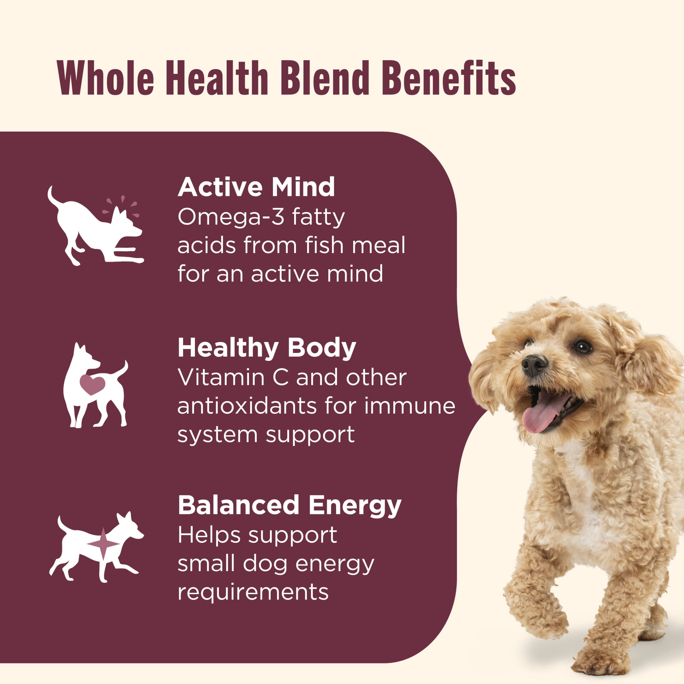 Nutrish Small Breed Real Chicken & Veggies Recipe Whole Health Blend Dry Dog Food, 6 lb. Bag (Rachael Ray)