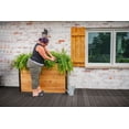 thumbnail image 4 of Vita Mezza 59"L x 16"W x 32"H Large Cedar Parklette Planter, Golden Brown, VT17716, 4 of 10