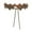 Brown, variant on Esquirla Belt Forests Fairy Ladies Belt Womens PU Leather Waist Belt brown
