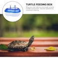 thumbnail image 3 of HUGFEGWE Tadpole Tank Critter Color Portable Turtle Tank,Turtle Breeding Box with Handle Cover,Small Plastic Reptile Habitat Container Turtle Drying Platform Critter Keeper Jumping Spider CJCA-132631, 3 of 9