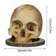 thumbnail image 1 of Knives Holder Kitchen Storage Skull Knife Holder Horror Head Shape Knive Holder Scary Kitchen Storag, 1 of 5