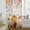 Gray, variant on Thanksgiving Pumpkin Sheer Curtains 63 Inch Length, Light Filtering Voile Curtain Panel, Fall Harvest Maple Leaf Flowers Orange Rod Pocket Drapes Window Treatments for Living Room Bedroom 52"x63"