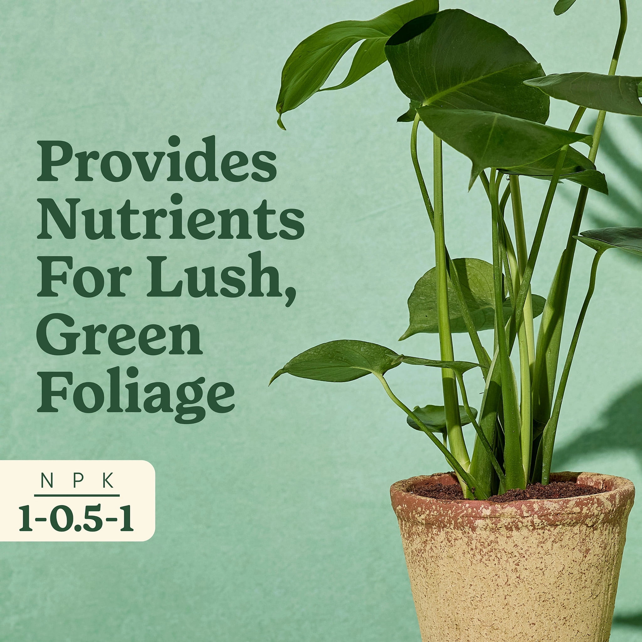 Miracle-Gro Indoor Plant Food for Tropicals, Liquid Plant Food, 8 fl. oz.