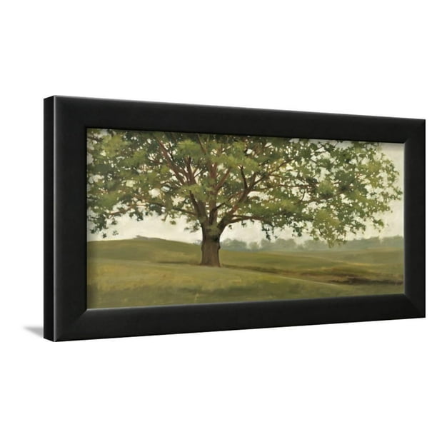 Wisdom Grows Framed Print Wall Art By Megan Lightell Walmart Com Walmart Com