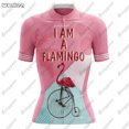 thumbnail image 3 of Conjunto de maillot de ciclismo de primera calidad Flamingo Summer, maillot deportivo de carreras para equipo transpirable, ropa de ciclismo para mujer, maillot corto para bicicleta, 3 of 5
