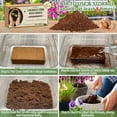 thumbnail image 3 of Legigo 6 Pack Premium Coco Coir Brick for Plants- 100% Organic Compressed Coconut Coir Bricks Starting Mix, Coco Coir Fiber Coconut Husk for Planting, Gardening, Potting Soil Substrate, Herbs, 3 of 7