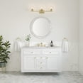 thumbnail image 3 of James Martin Vanities 503-V48-Fejp Chicago 48" Free Standing Single Basin Vanity Set -, 3 of 7