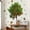 B, variant on SPOORYYO Cute Bedroom Living Room Home Background Decoration Wall Sticker Adhesive
