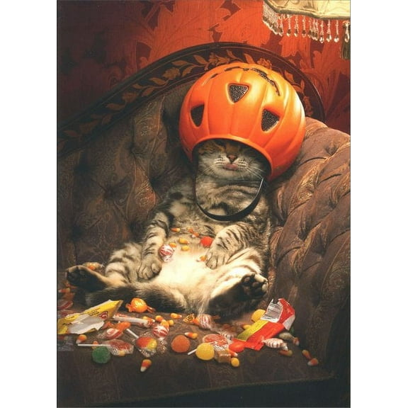 Avanti Press Cat Under Candy Bucket Funny / Humorous Halloween Card